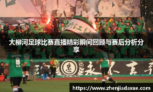 大柳河足球比赛直播精彩瞬间回顾与赛后分析分享