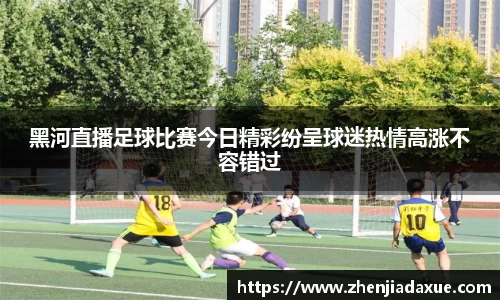 黑河直播足球比赛今日精彩纷呈球迷热情高涨不容错过
