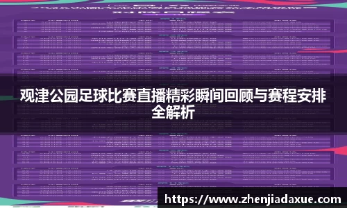 观津公园足球比赛直播精彩瞬间回顾与赛程安排全解析