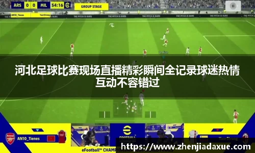 河北足球比赛现场直播精彩瞬间全记录球迷热情互动不容错过