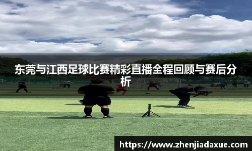 东莞与江西足球比赛精彩直播全程回顾与赛后分析