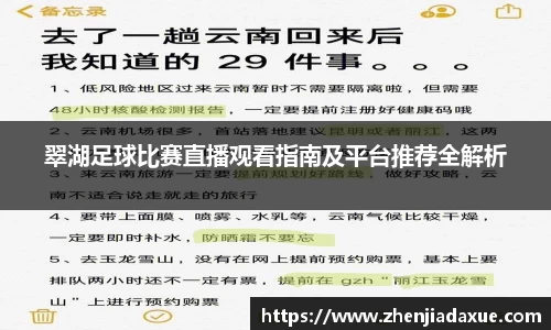 翠湖足球比赛直播观看指南及平台推荐全解析