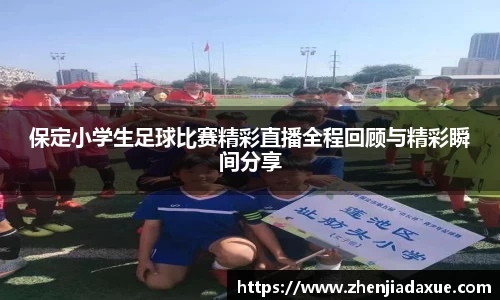 保定小学生足球比赛精彩直播全程回顾与精彩瞬间分享